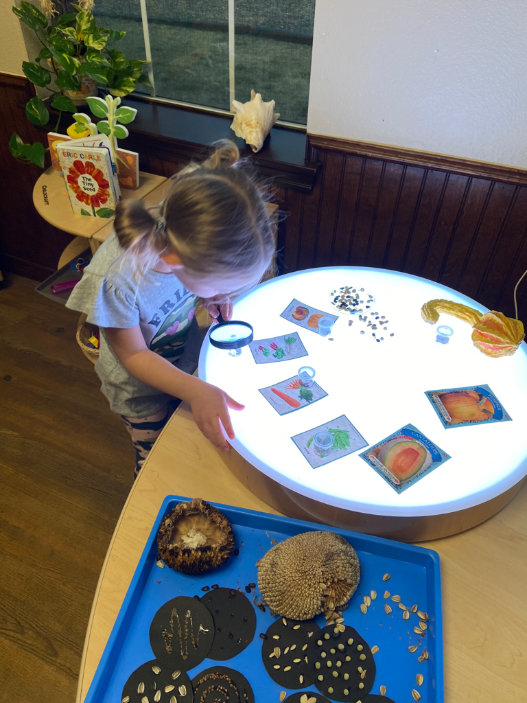 young girl looking through a magnifying glass 